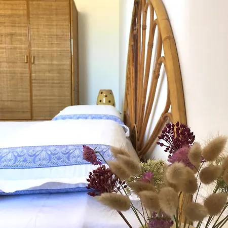 Vacanze 'riccio E Salvia' A S. M. Di Leuca * Santa Maria di Leuca