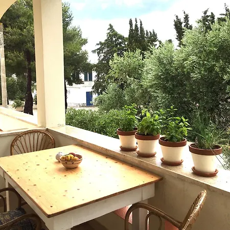 Vacanze 'riccio E Salvia' A S. M. Di Leuca