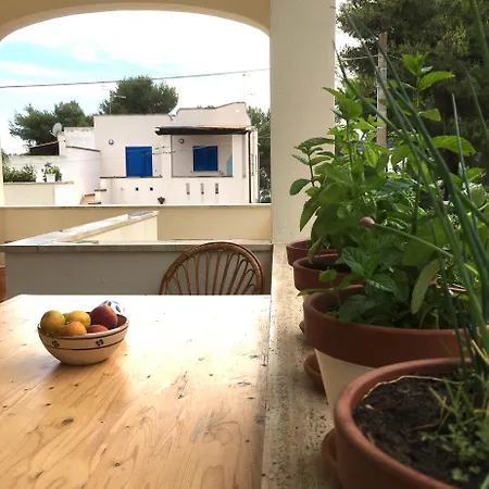 Holiday home Vacanze 'riccio E Salvia' A S. M. Di Leuca Santa Maria di Leuca